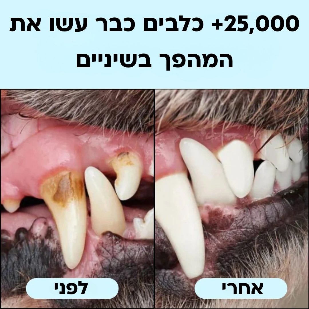 SmileWipes™ - מגבונים דנטליים לניקוי שיניים וחניכיים לכלבים
