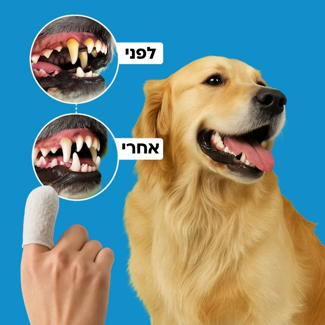 SmileWipes™ - מגבונים דנטליים לניקוי שיניים וחניכיים לכלבים