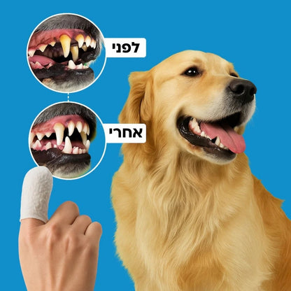 SmileWipes™ - מגבונים דנטליים לניקוי שיניים וחניכיים לכלבים
