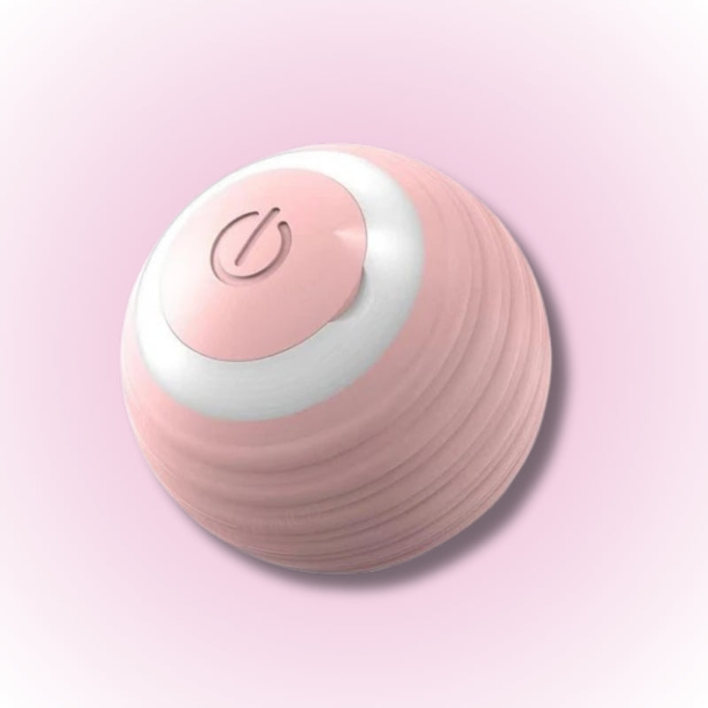 כדור משחק זז אוטומטי לכלבים